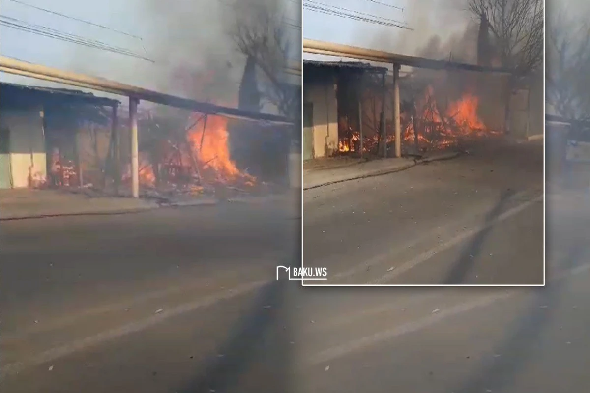 В Нардаране вспыхнул пожар: возникла опасная ситуация - ВИДЕО