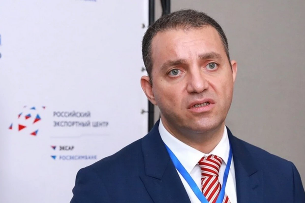 Министр экономики Армении ушел в отставку