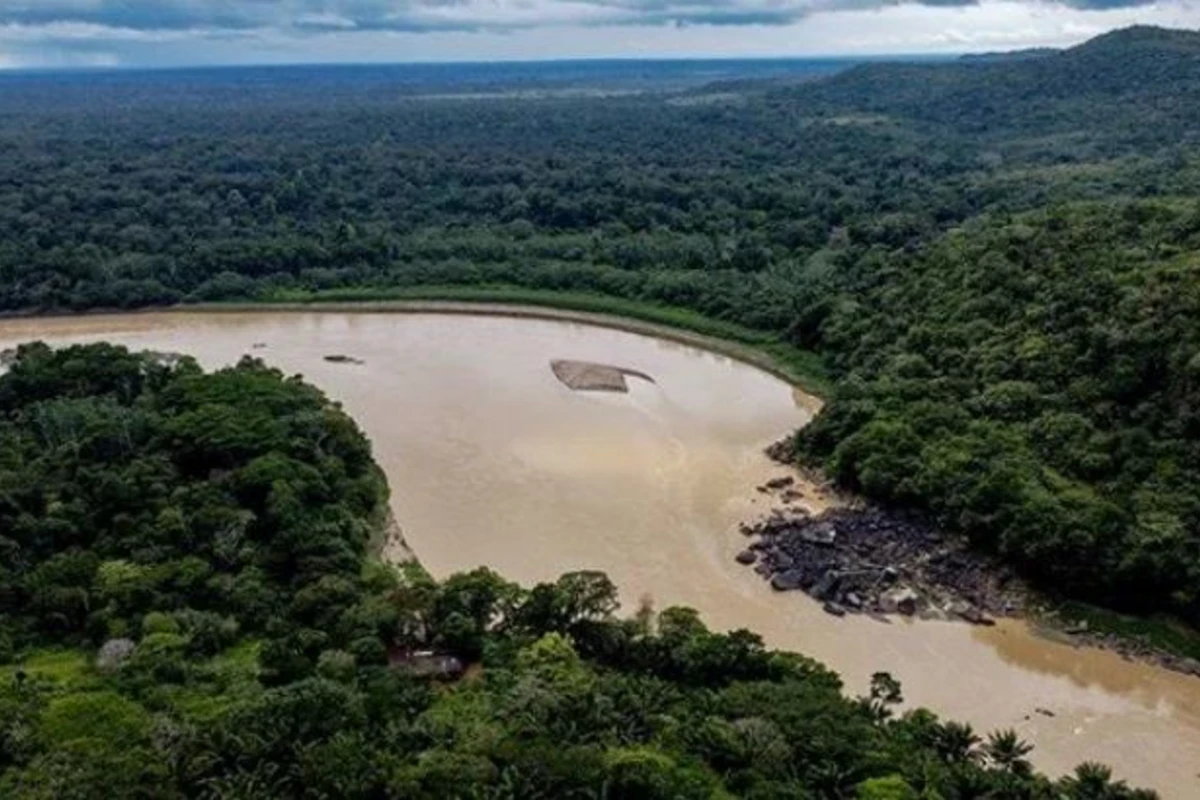 Dünyanın ağciyərinin yarısı 2050-ci ilə qədər məhv ola bilər - FOTO