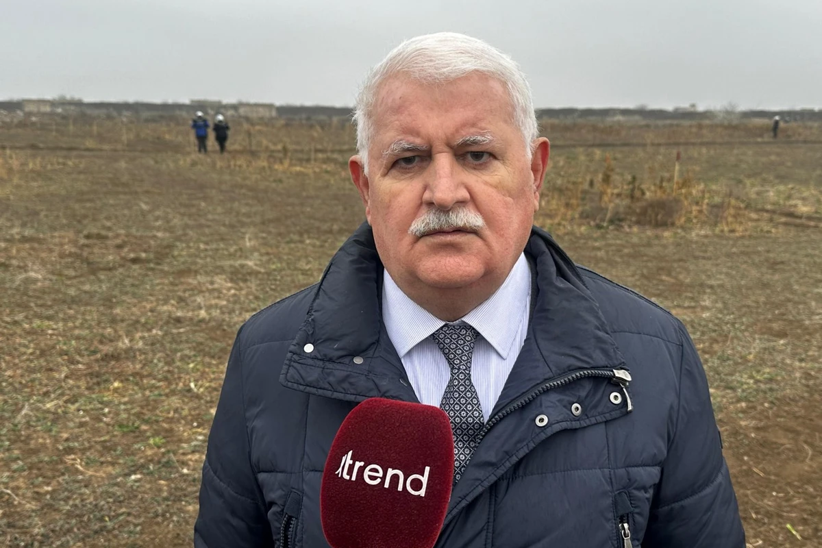 Mina axtaran qadınlar arasında 3-4 uşağı olan analar da var - Umud Mirzəyev