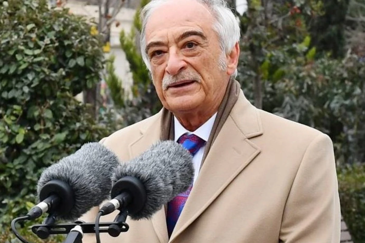Polad Bülbüloğlu Kamil Zeynallının saxlanılmasından DANIŞDI