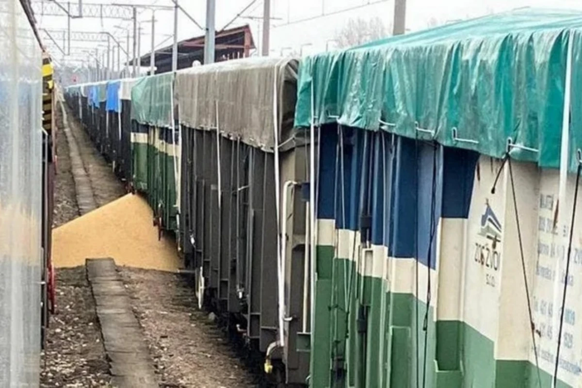 Polşada növbəti dəfə Ukraynaya məxsus taxılı yerə dağıdıblar Polşada növbəti dəfə Ukraynaya məxsus taxılı yerə dağıdıblar