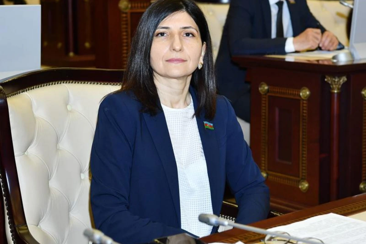 Xocalıda törədilən vəhşilikləri təsvir etmək mümkün deyil - Sevil Mikayılova Xocalıda törədilən vəhşilikləri təsvir etmək mümkün deyil - Sevil Mikayılova
