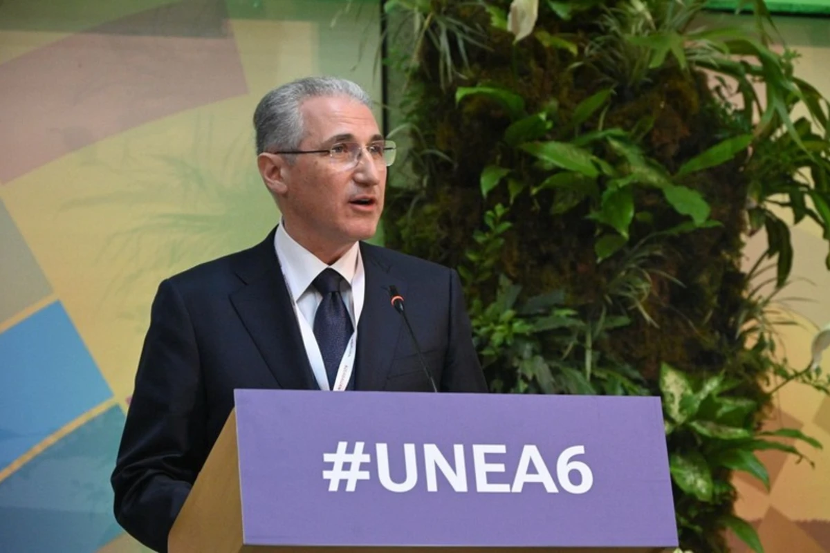 COP29-un prezidenti BMT-nin Ətraf Mühit Assambleyasının 6-cı sessiyasında çıxış edib