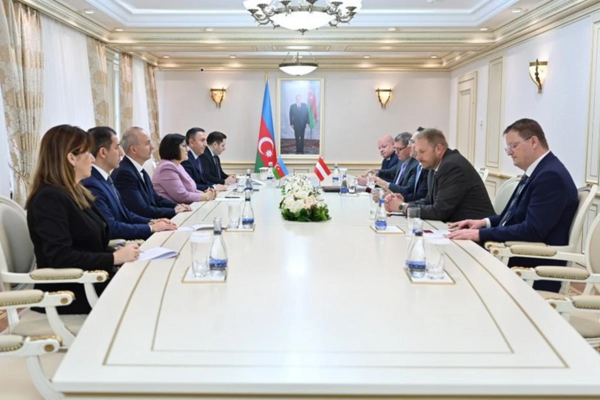 Sahibə Qafarova Avstriya-Cənubi Qafqaz dostluq qrupunun rəhbəri Andreas Minnixin başçılıq etdiyi nümayəndə heyəti ilə görüşüb - FOTO