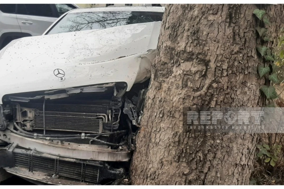 Türkiyə vətəndaşının idarə etdiyi avtomobil Gəncədə ağaca çırpılıb - FOTO Türkiyə vətəndaşının idarə etdiyi avtomobil Gəncədə ağaca çırpılıb - FOTO