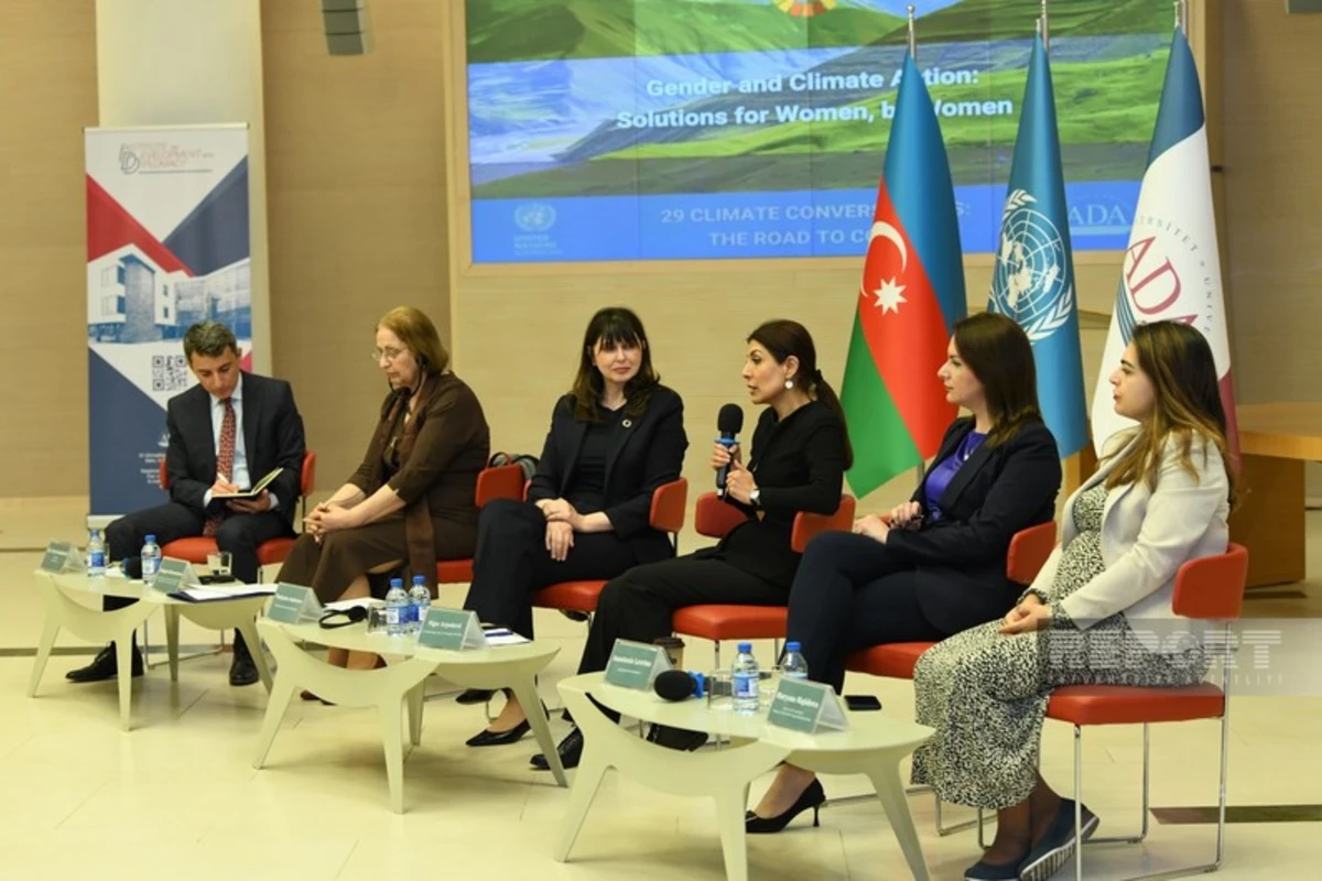 BMT nümayəndəliyi COP29 çərçivəsində iqlim mütəxəssislərini Azərbaycana dəvət edəcək