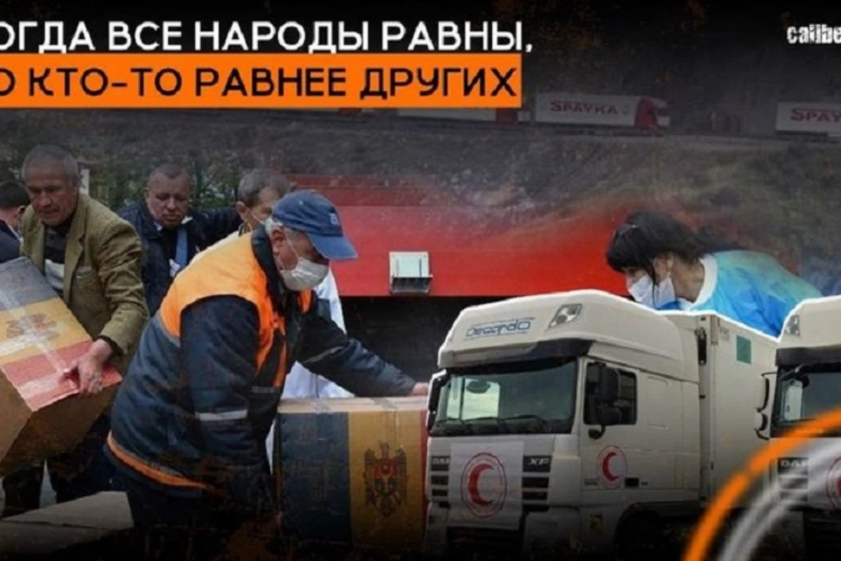 Когда все народы равны, но кто-то равнее других - ВИДЕО
