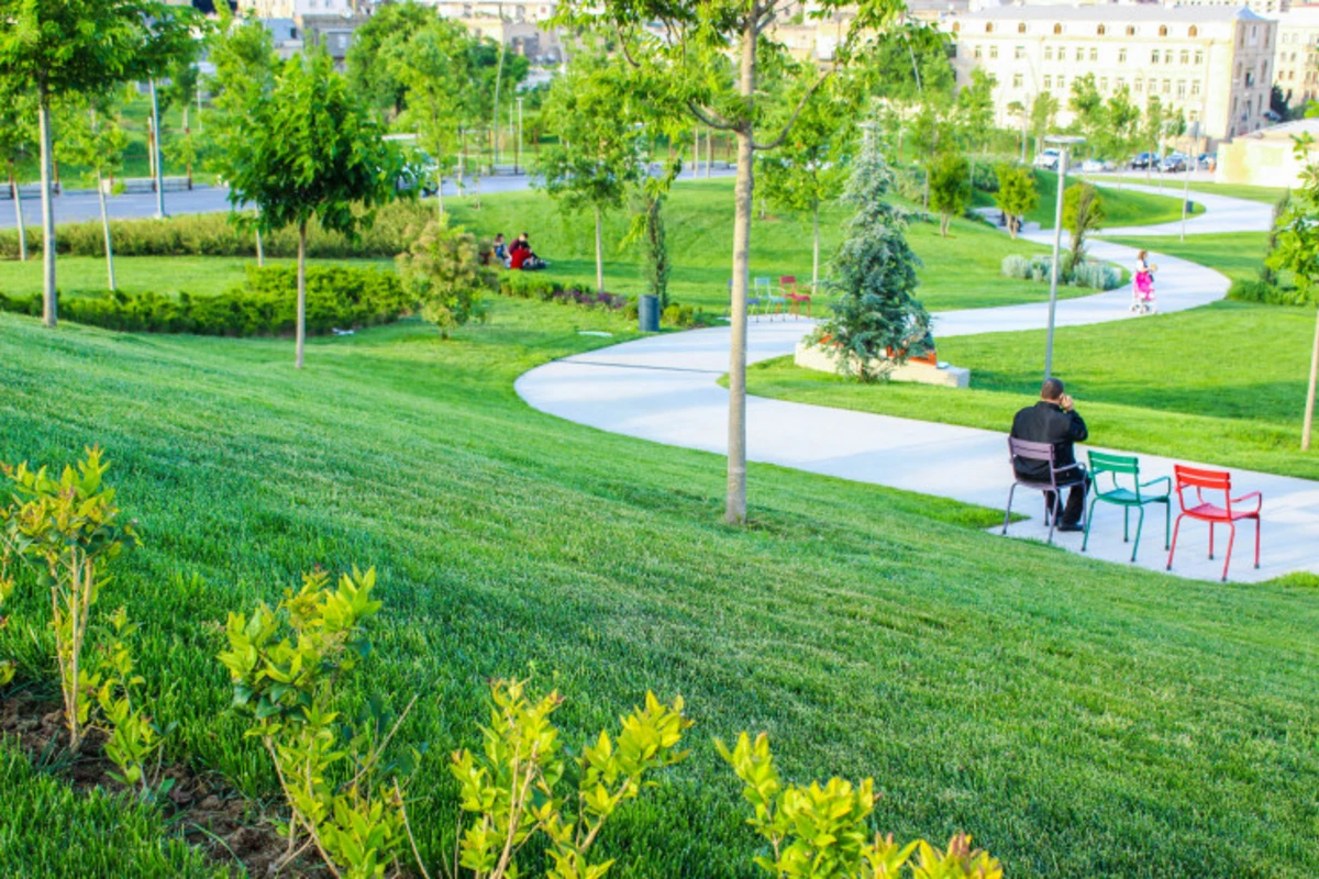 Bakıda parkda SOYĞUNÇULUQ - FOTO/VİDEO