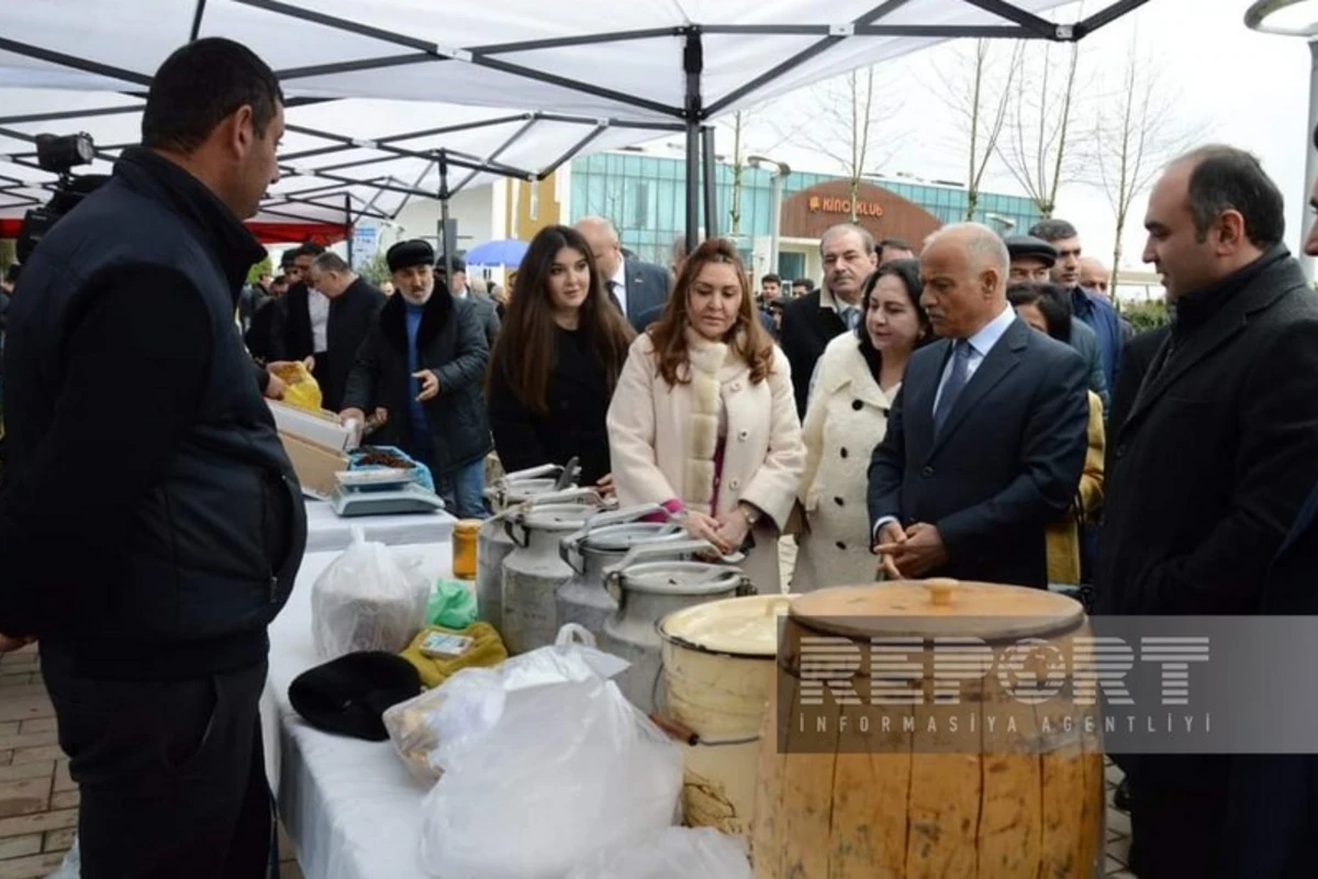 Masallıda Aqrar biznes festivalı keçirilib