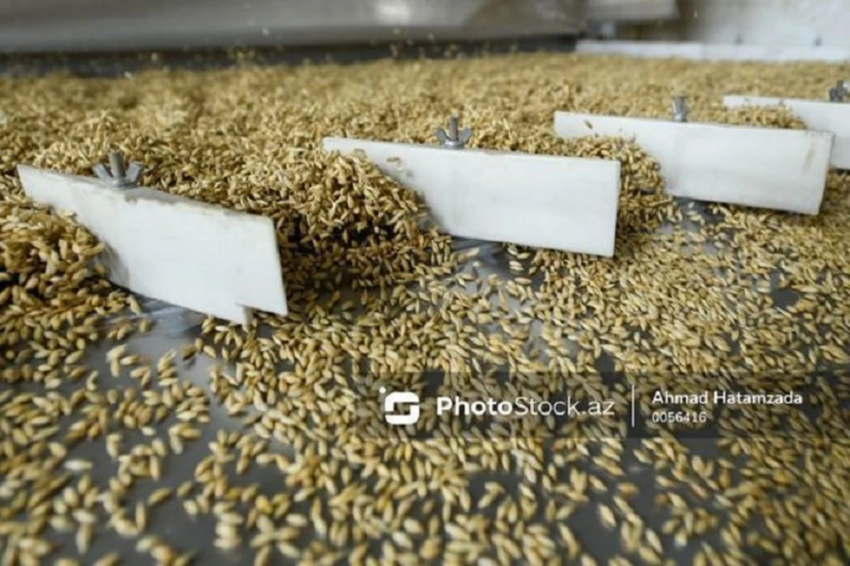 Импорт каких продуктов в Азербайджан может быть сокращен? - ВИДЕО