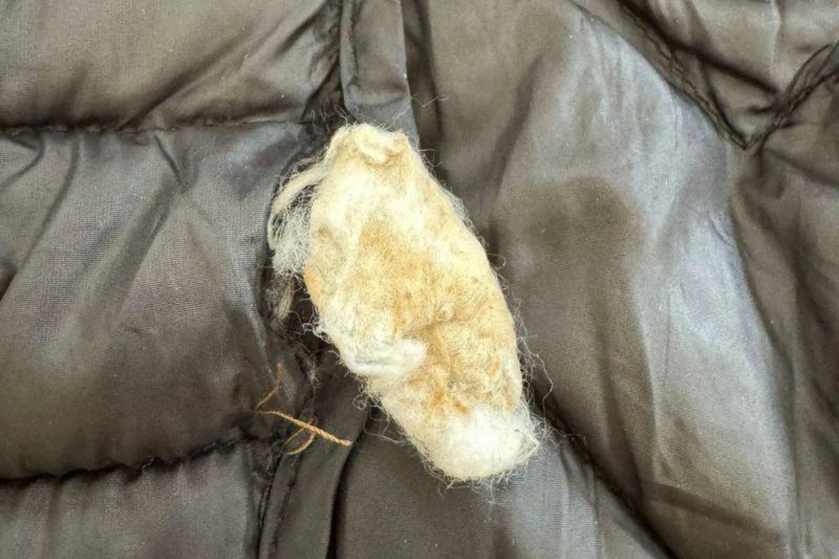 Bakıda həbsxanaya ağlagəlməz üsulla narkotik keçirmək istədi