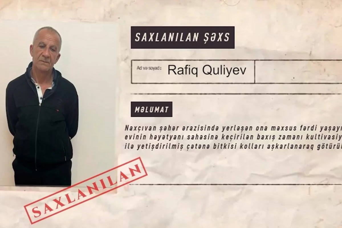 Naxçıvanda narkotik tərkibli bitkilərin kultivasiyası ilə məşğul olan şəxs saxlanılıb