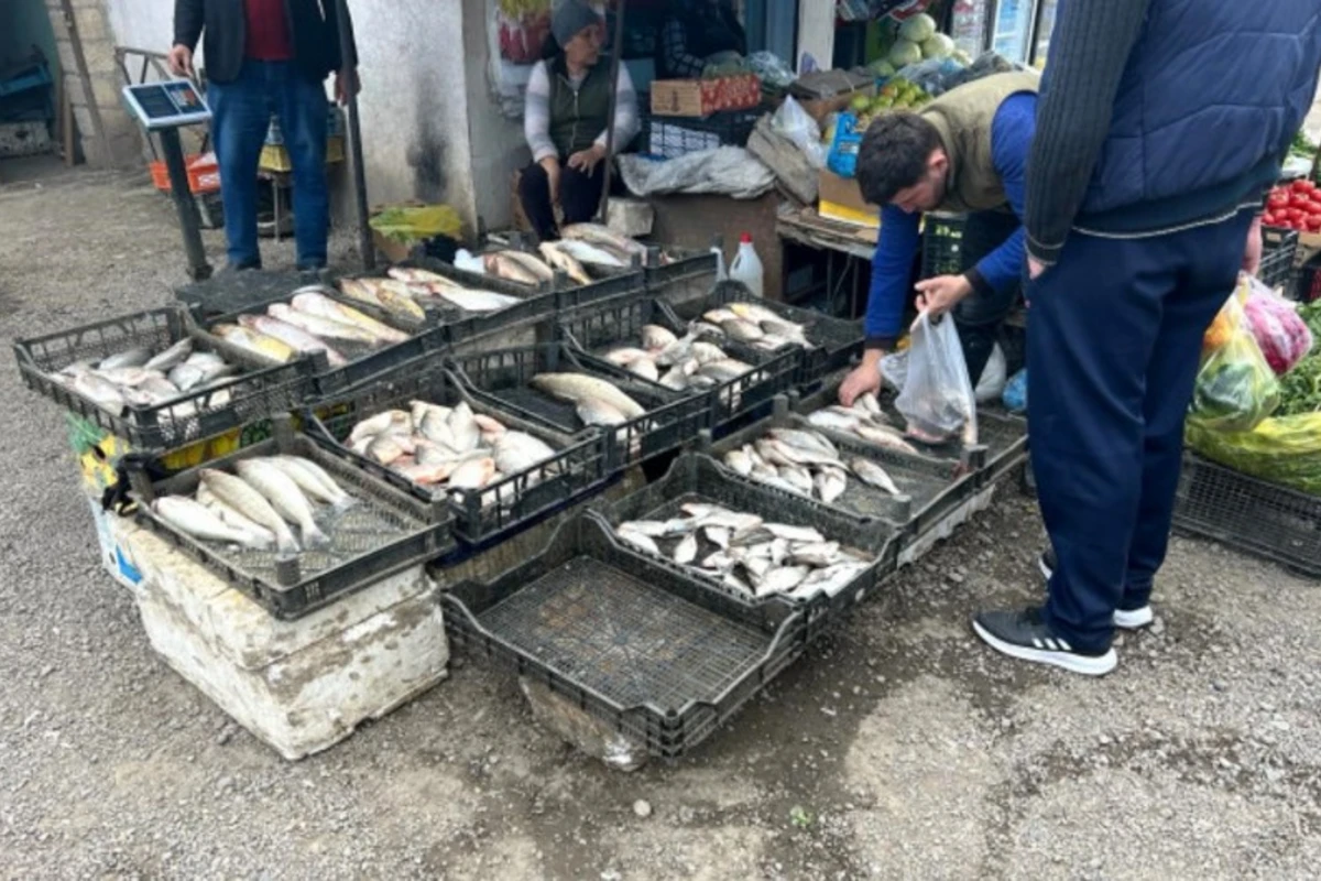 Tovuzda bazarda yoxlama aparıldı: Nöqsanlar aşkarlandı - FOTO