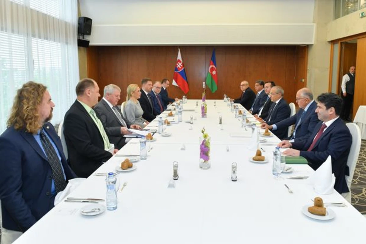 Mikayıl Cabbarov Slovakiya rəsmiləri ilə iki ölkə arasındakı əlaqələri müzakirə edib - YENİLƏNİB + FOTO