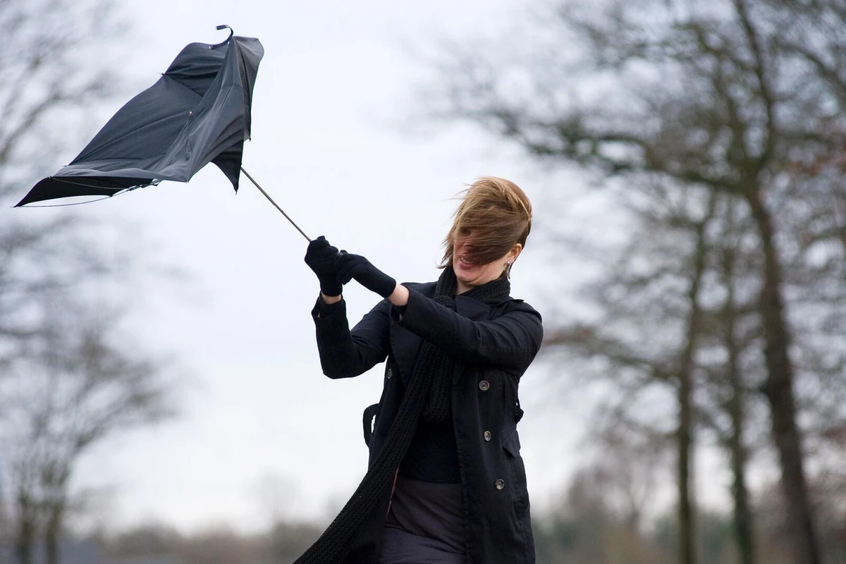 Bakıda və Abşeron yarımadasında müşahidə olunan külək nə zaman səngiyəcək?