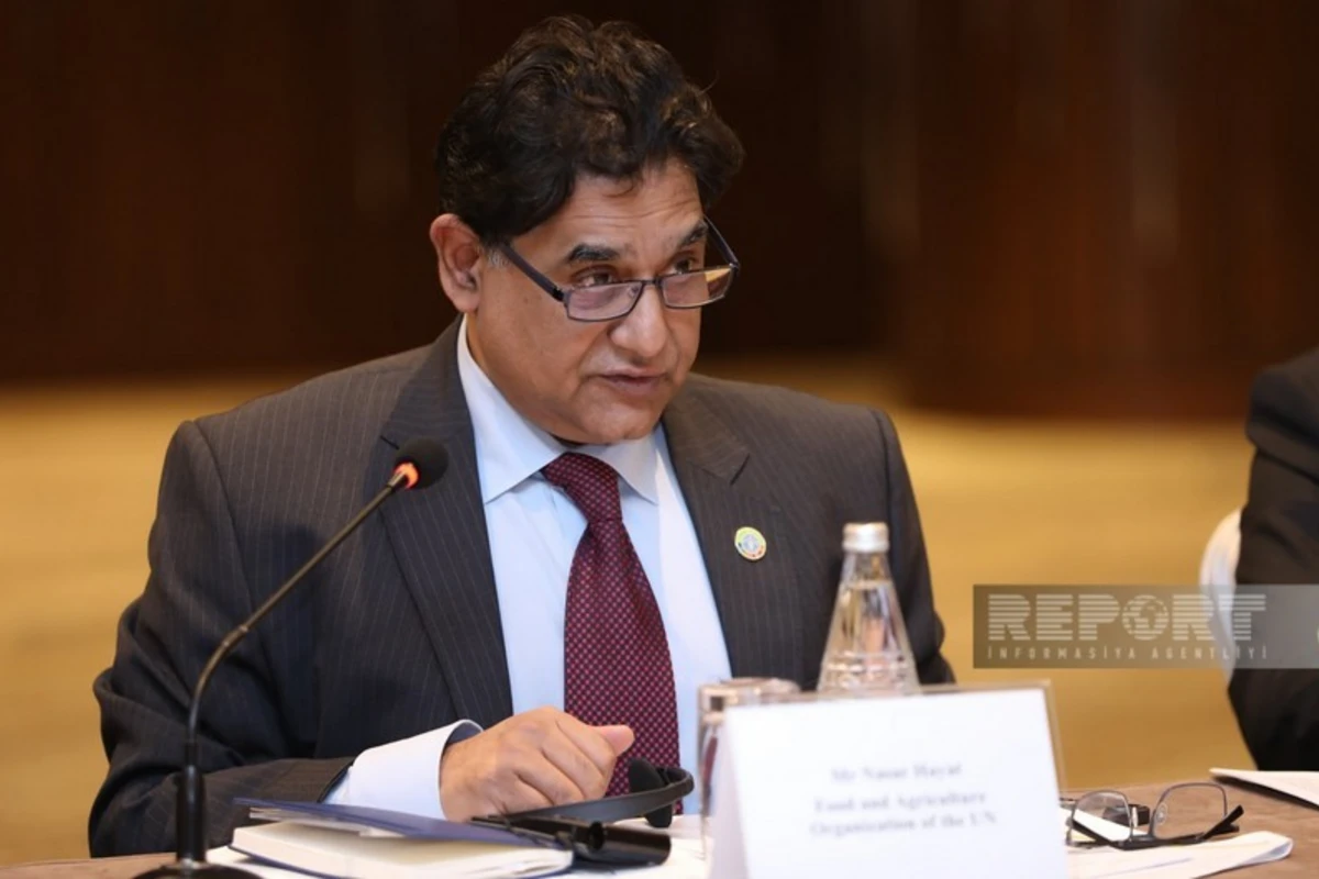 FAO rəsmisi: “COP29 Azərbaycana təcrübələrini ortaya qoymağa imkan verəcək”