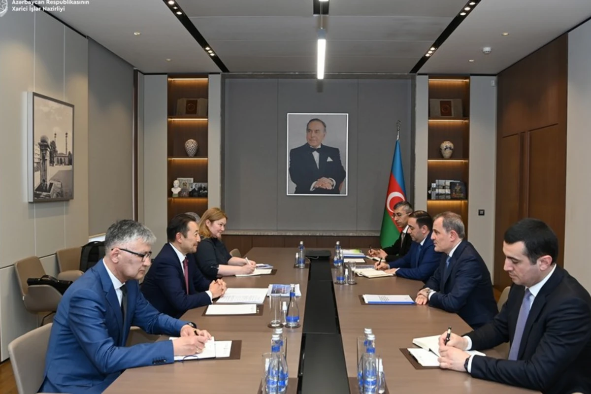 Azərbaycanın növbəti iki ildə AQEM-ə sədrliyi dövründə görəcəyi işlər müzakirə olunub - FOTO