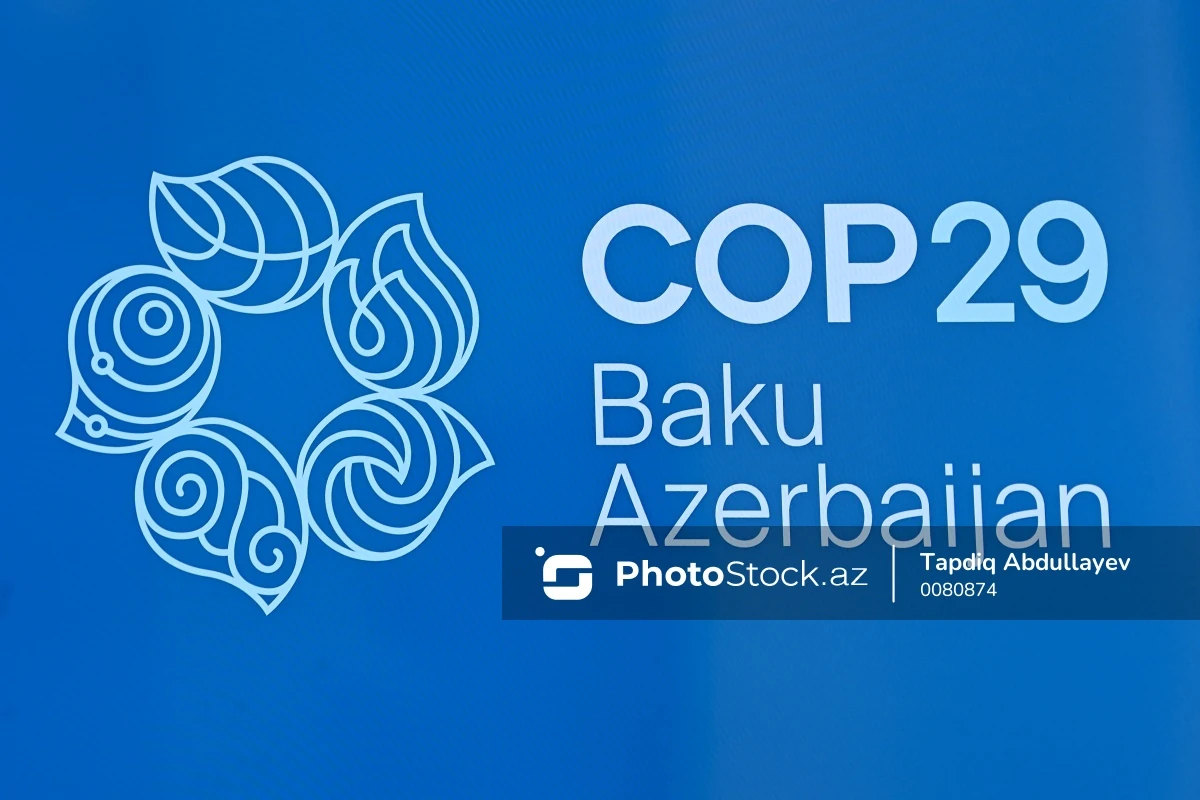 COP29-un Azərbaycanda keçirilməsi ilə əlaqədar vergi güzəştləri müəyyənləşir COP29-un Azərbaycanda keçirilməsi ilə əlaqədar vergi güzəştləri müəyyənləşir