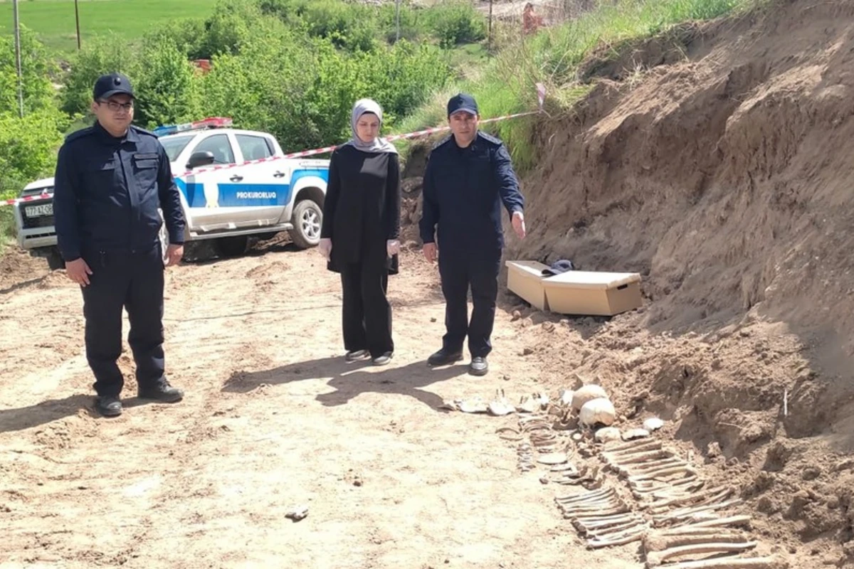 Malıbəylidə kütləvi məzarlıq aşkar edilib - YENİLƏNİB - FOTO