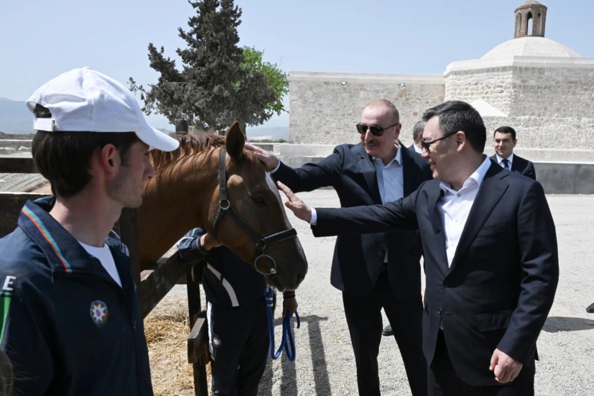 İlham Əliyev Qırğızıstan prezidentinə Qarabağ atı hədiyyə etdi - FOTO