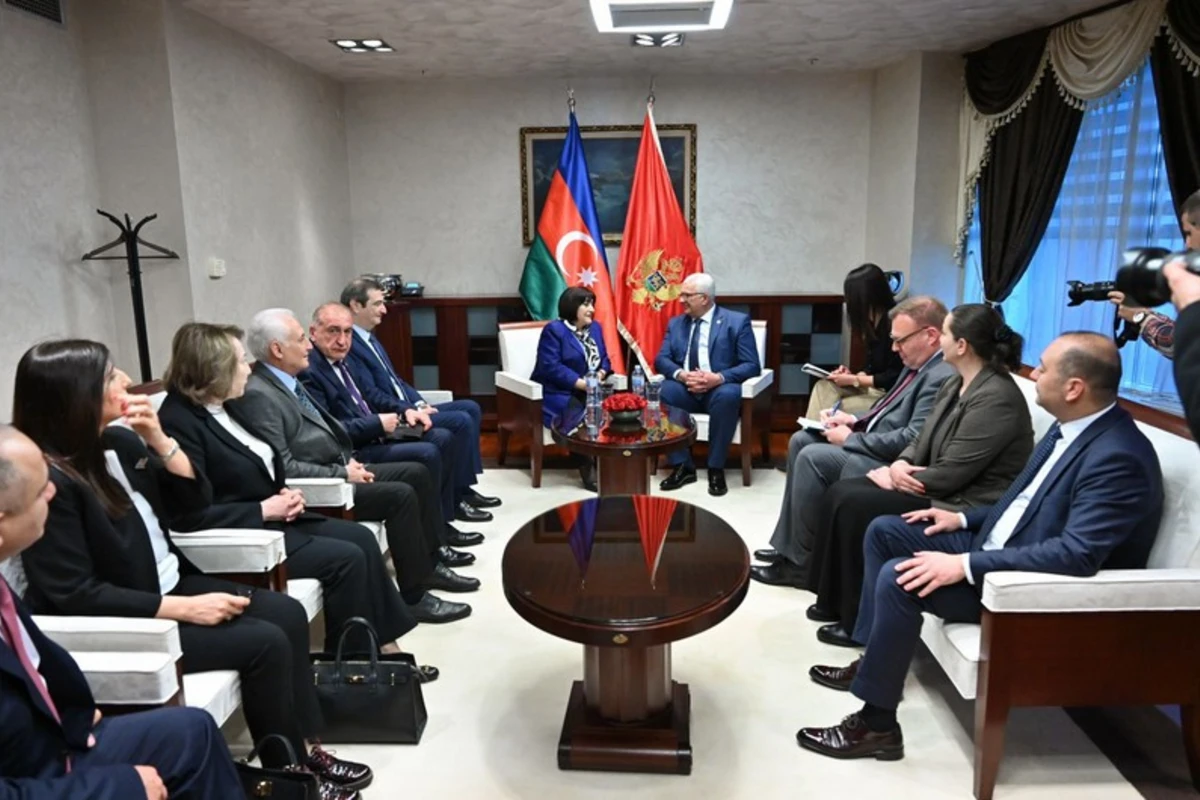 Sahibə Qafarova Monteneqroda rəsmi səfərdədir