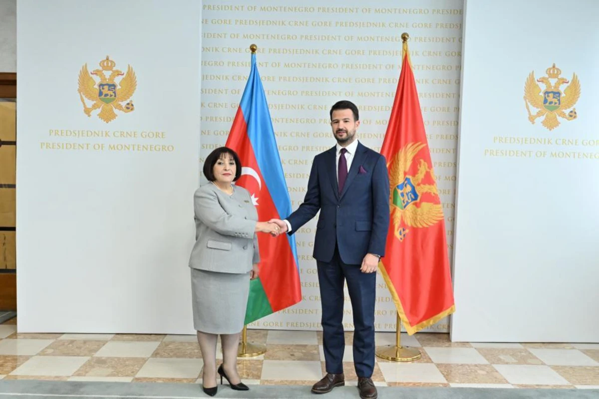 Milli Məclisin sədri Monteneqro Prezidenti ilə görüşüb, COP29-a dəvət məktubunu təqdim edib - FOTO