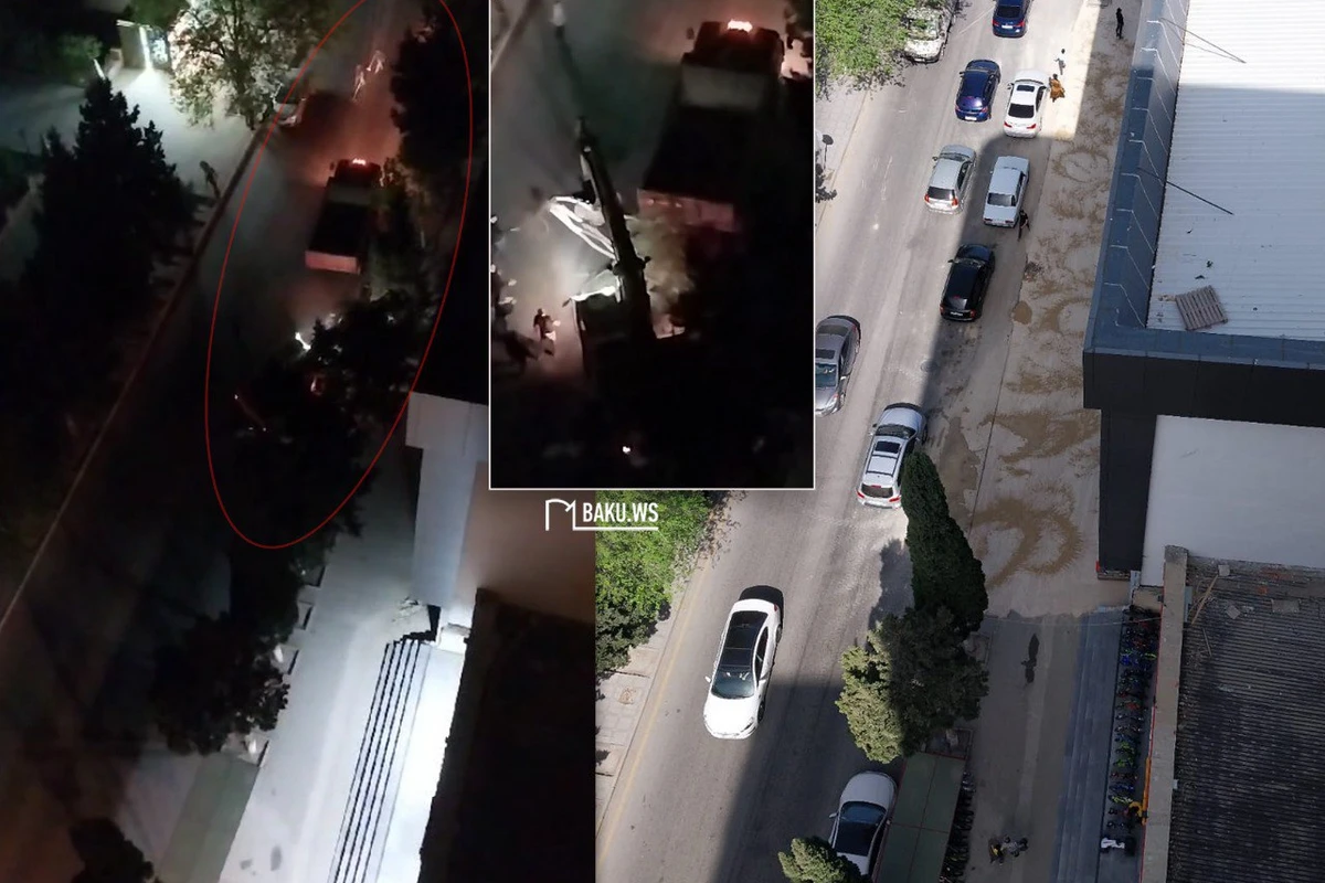 Xırdalanda gecə ilə ağacları kökündən çıxarıb üstünü torpaqla örtdülər - FOTO\VİDEO