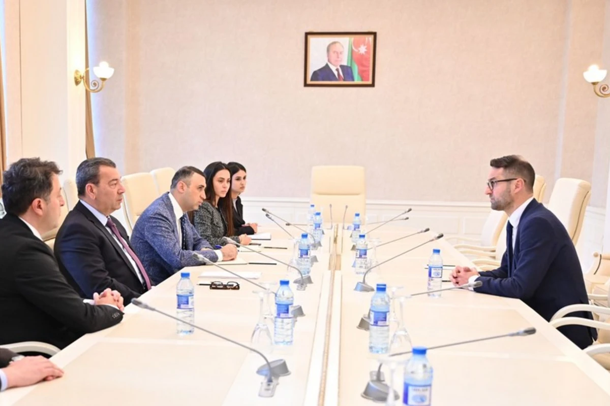 Avropa Parlamentinin komitə üzvü qurumun Azərbaycana qarşı qərəzli mövqeyini pisləyib - FOTO