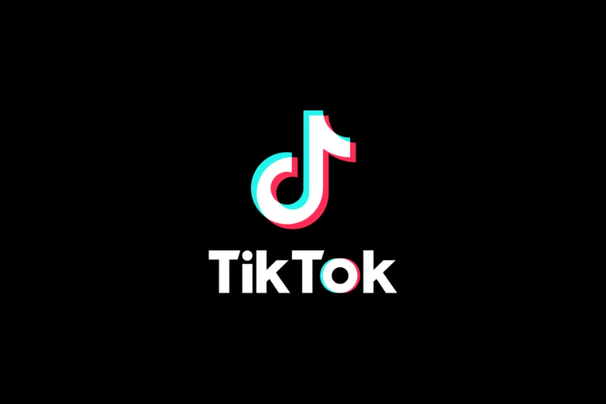 В Турции могут запретить TikTok