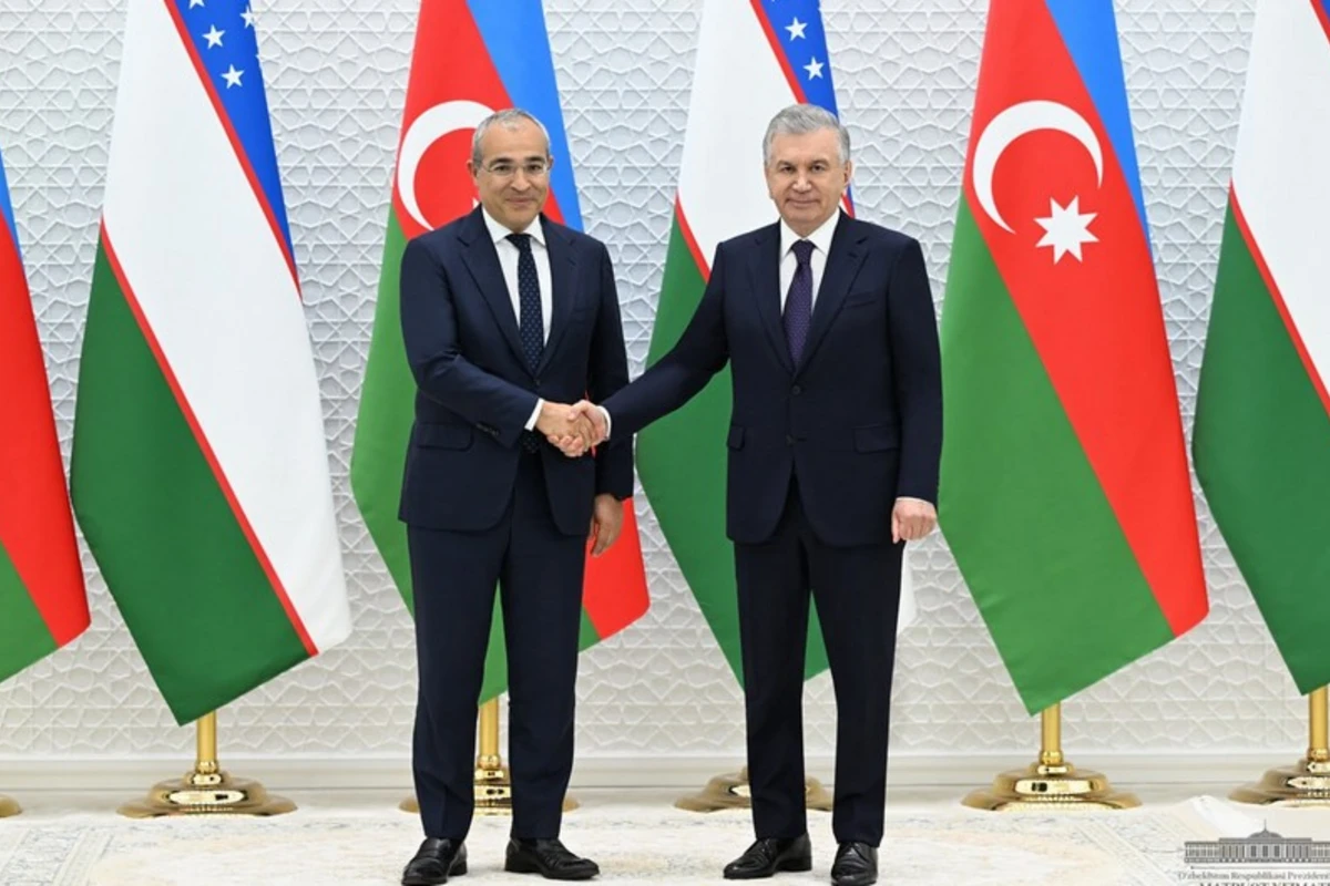 Özbəkistan Prezidenti Azərbaycan nümayəndə heyətini qəbul edib - FOTO