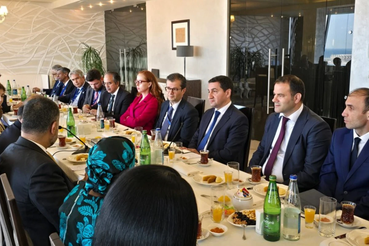 Hikmət Hacıyev: YUNESKO bir adamın əlində alətə çevrilməməlidir - FOTO