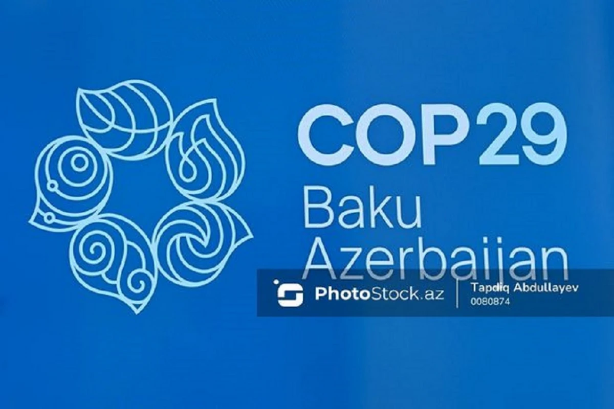 Исполнительный директор АБР: СOP29 - возможность для плодотворного сотрудничества с Азербайджаном