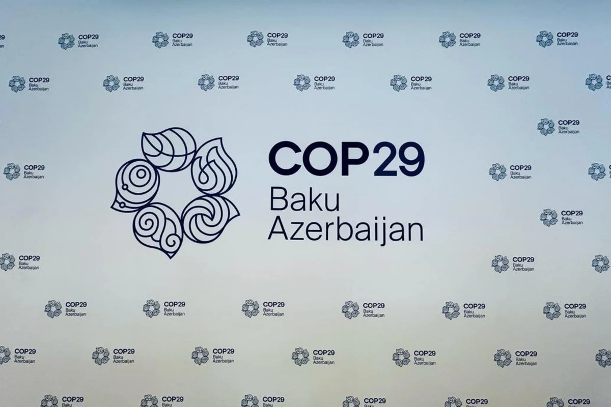 ADB-nin icraçı direktoru: COP29 Azərbaycanla səmərəli əməkdaşlıq üçün bir fürsətdir