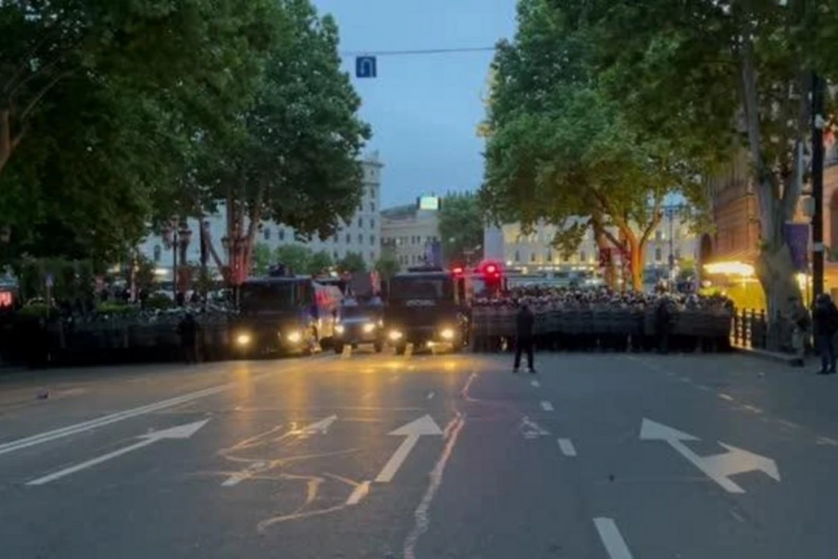 МВД Грузии призвало митингующих освободить территорию у здания парламента