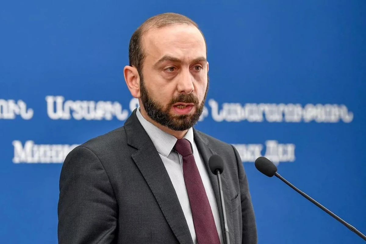 Мирзоян назвал выступающих против делимитации границы дипломатов дезертирами