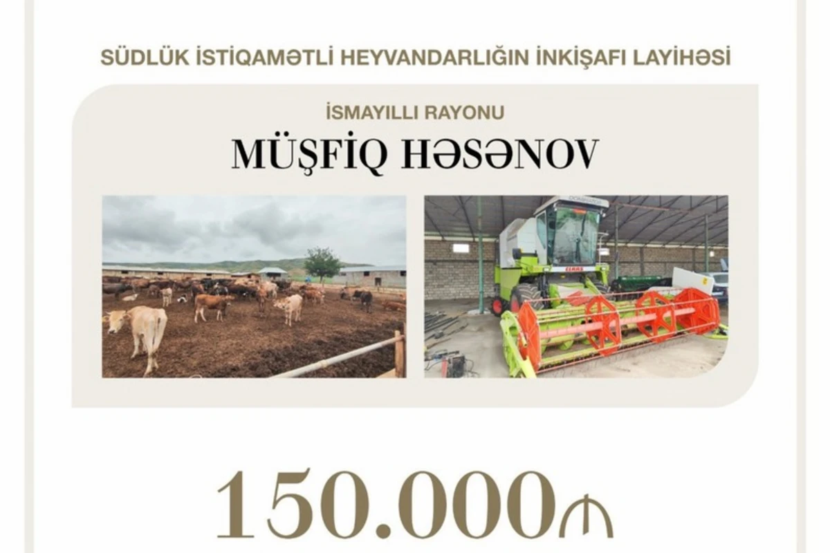 Azərbaycanda heyvandarlığın inkişafı layihəsinə güzəştli kredit ayrılıb - FOTO