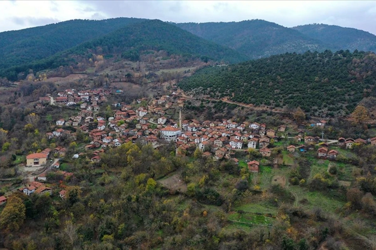 Türkiyənin 2 vilayəti üçün XƏBƏRDARLIQ - 8 bala qədər zəlzələ olacaq