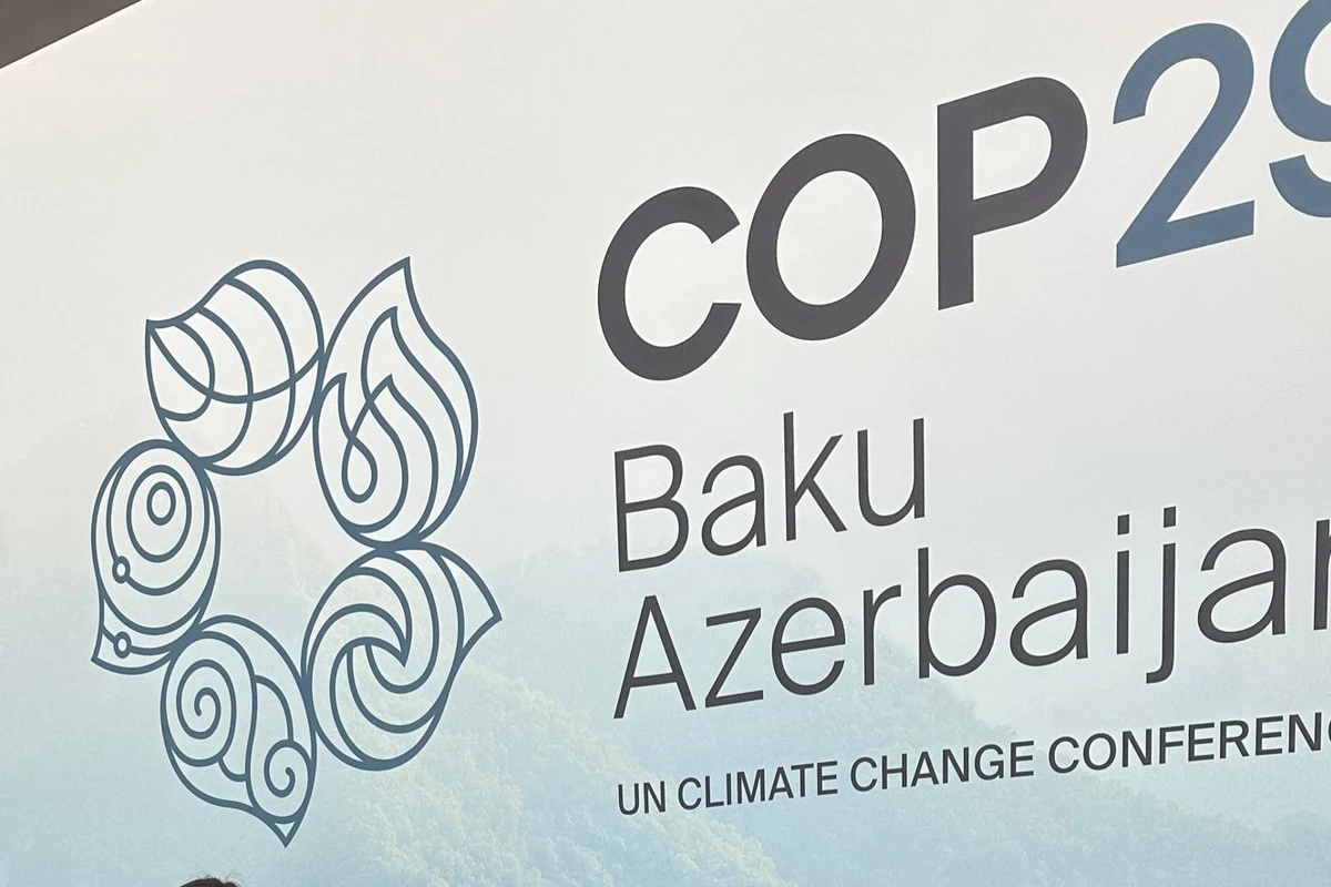 COP29: Dayanıqlı və ədalətli gələcəyə can atırıq