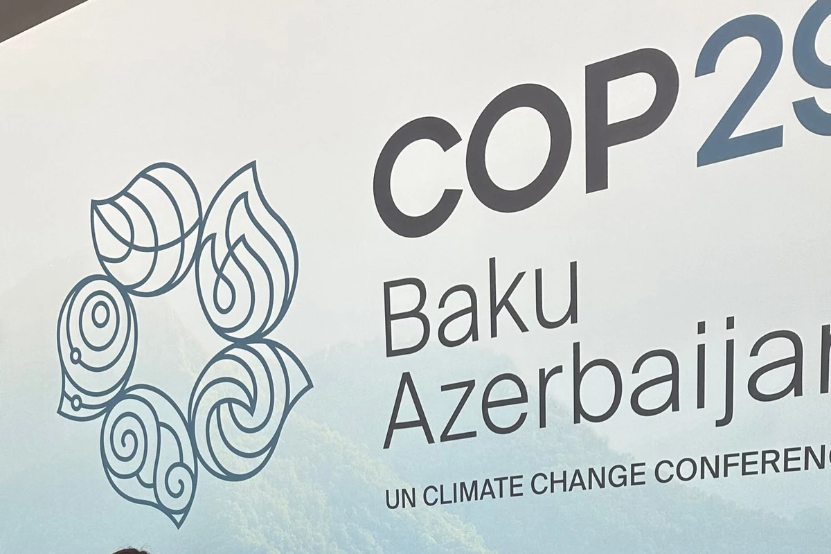 COP29: Стремимся к устойчивому и справедливому будущему