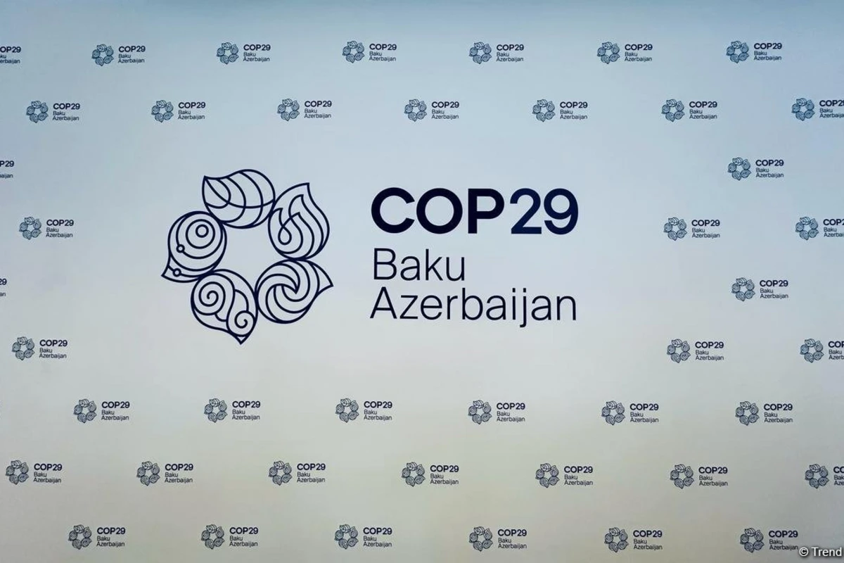 FAO: COP29-da Azərbaycan aqrar-sənayesindəki innovativ işlərini dünyaya nümayiş etdirəcək