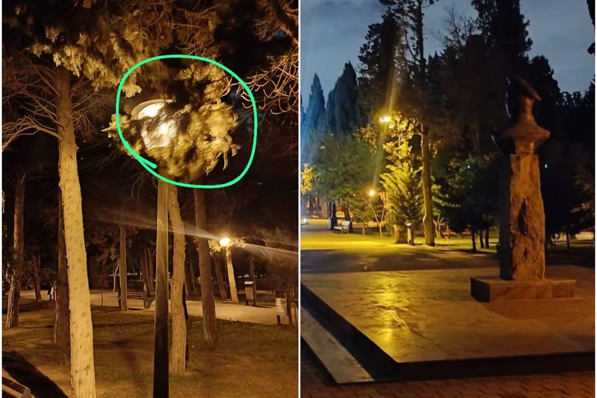Qaraçuxurda  Neftçilər parkı baxımsız vəziyyətdədir - FOTO/VİDEO