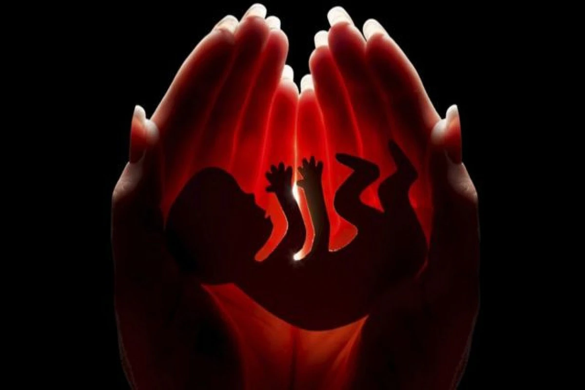 Selektiv abortlara şərait yaradılır? - Ekspertlərdən AÇIQLAMA Selektiv abortlara şərait yaradılır? - Ekspertlərdən AÇIQLAMA