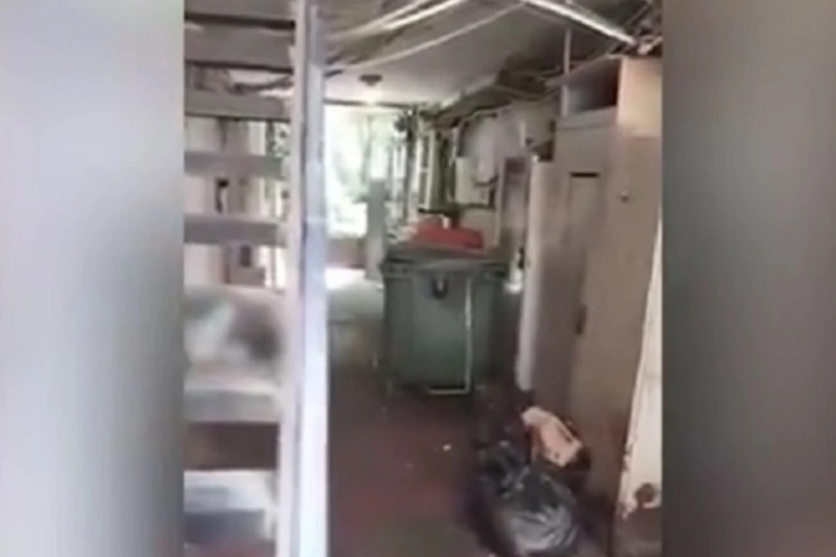 Bakının ən bahalı restoranlarından birinin mətbəxində antisanitar vəziyyət var? - AÇIQLAMA Bakının ən bahalı restoranlarından birinin mətbəxində antisanitar vəziyyət var? - AÇIQLAMA