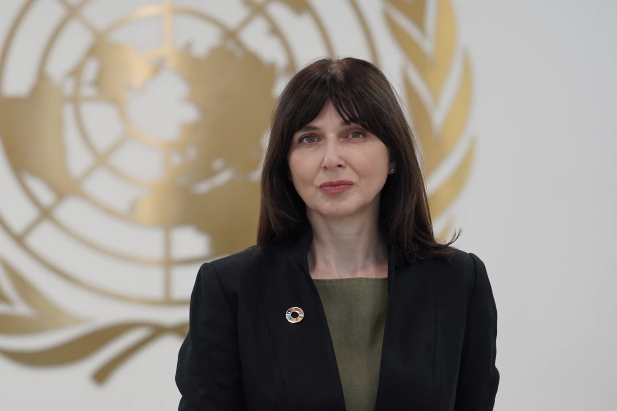 Резидент-координатор ООН: COP29 - возможность собраться вместе, чтобы принять важные решения