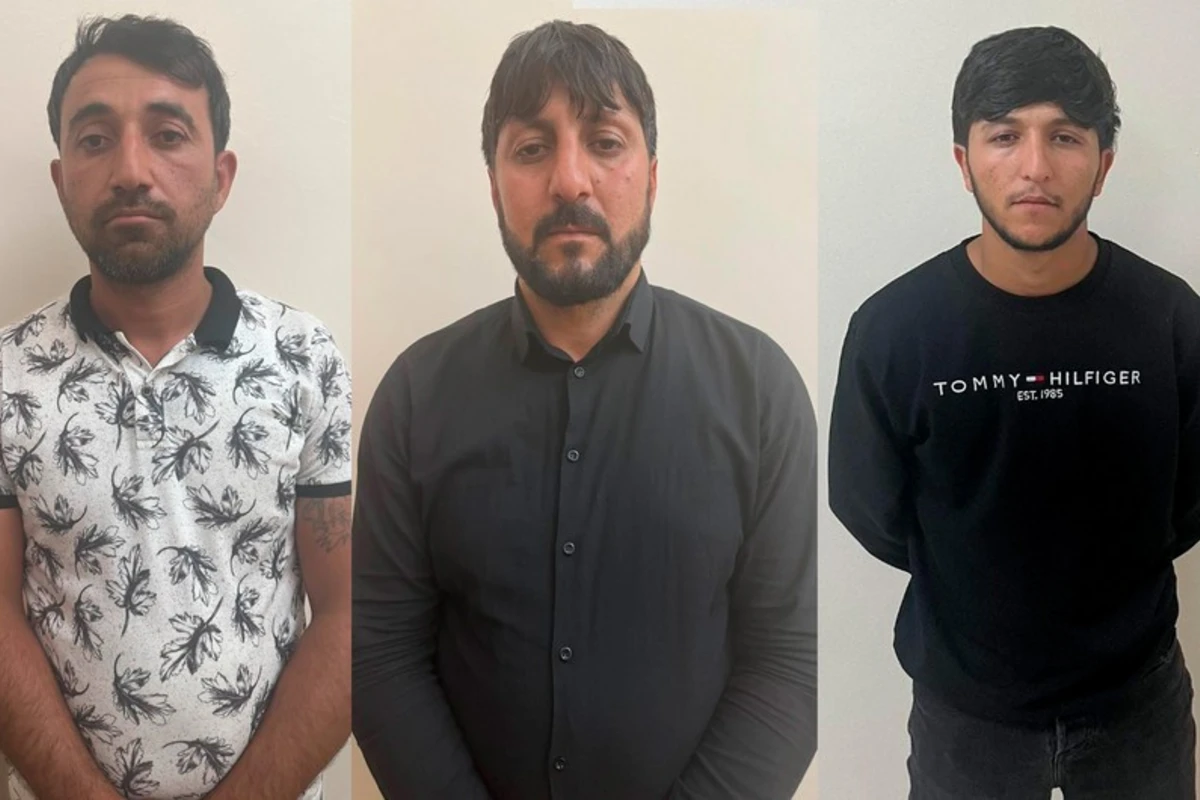 Naxçıvanda heyvanlarla rəhmsiz rəftar edən şəxslər müəyyən edilib