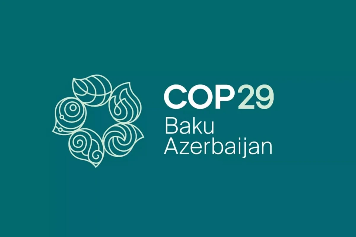 Началась регистрация волонтеров на COP29