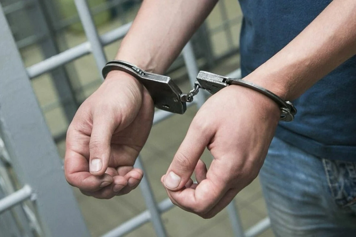 Вошел во двор, чтобы спастись от собак, и совершил кражу на 15 000 манатов