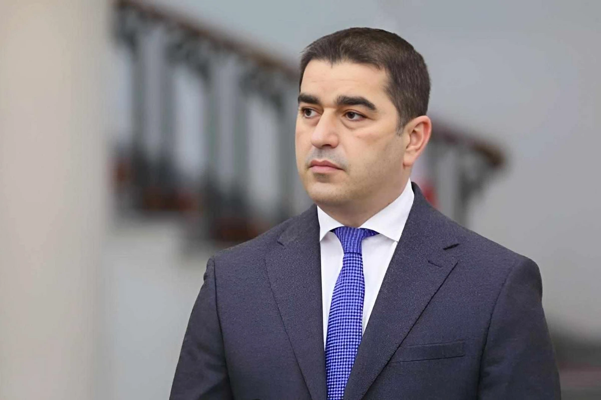 Глава парламента Грузии подписал законопроект об иноагентах