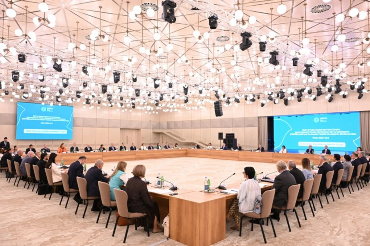 Состоялось четвертое заседание оргкомитета в связи с COP29